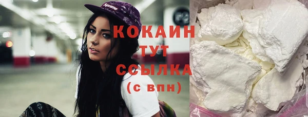 шишки Володарск