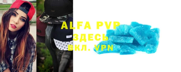 шишки Бородино