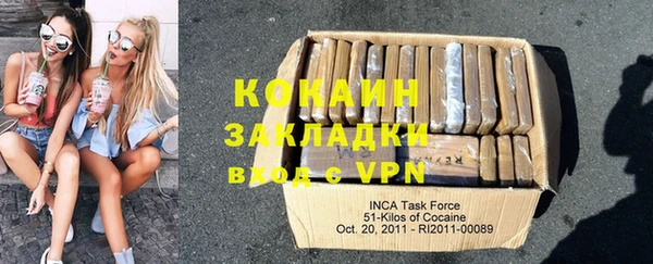 шишки Володарск