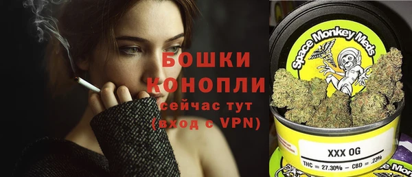 МДПВ Волоколамск